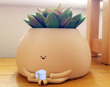 Home Minimalist And Cute Sitting Flowerpot Room
